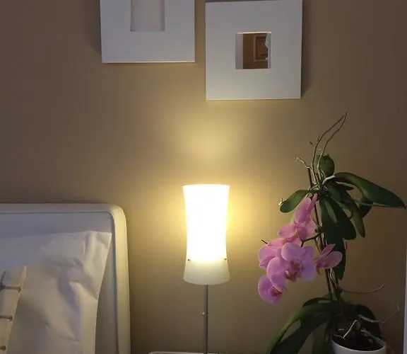 阿尔巴之家公寓 *