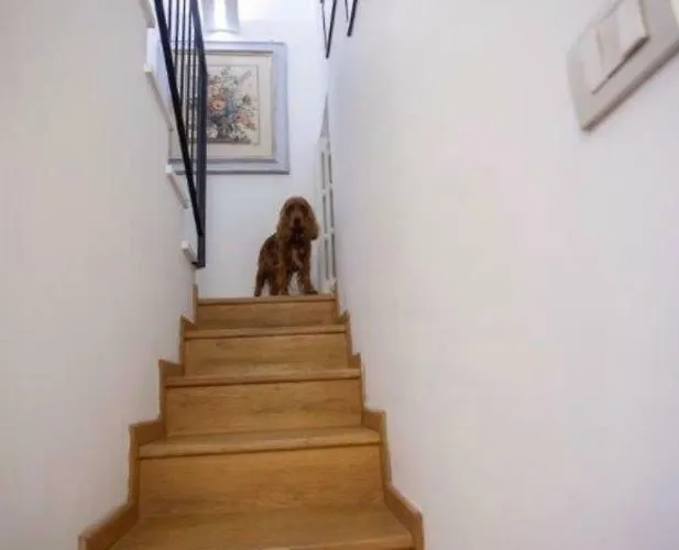 公寓 阿尔巴之家公寓 巴勒莫